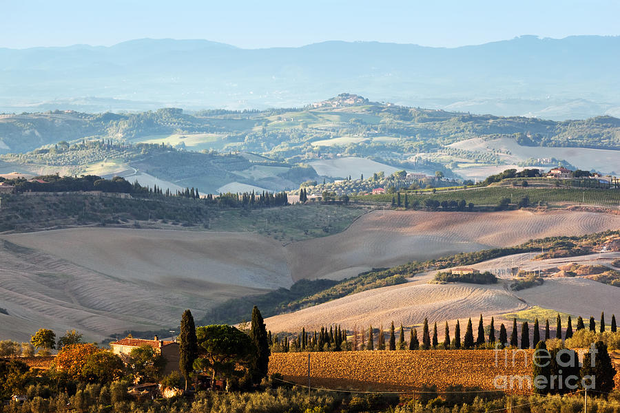 Tuscan Farm House Vineyard At Sunrise Photograph By Michal Bednarek