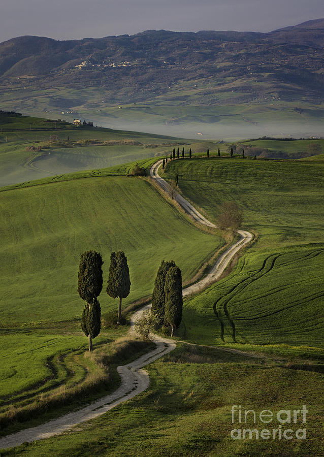Tuscan Farm Track Photograph by Brian Jannsen