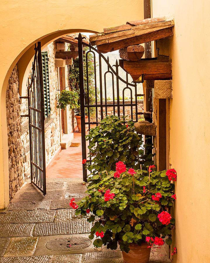 Tuscan Gate Photograph by Karen Regan