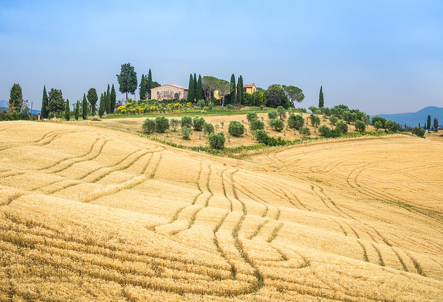 Tuscan hills Photograph by Stefano Termanini