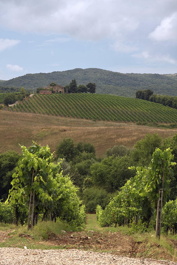 Tuscan Landscape Photograph by Sally Weigand