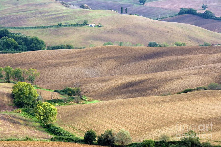 Italy Photograph - Tuscan landscape with plowed fields by Damian Davies Italy Photograph - Tuscan landscape with plowed fields by Damian Davies