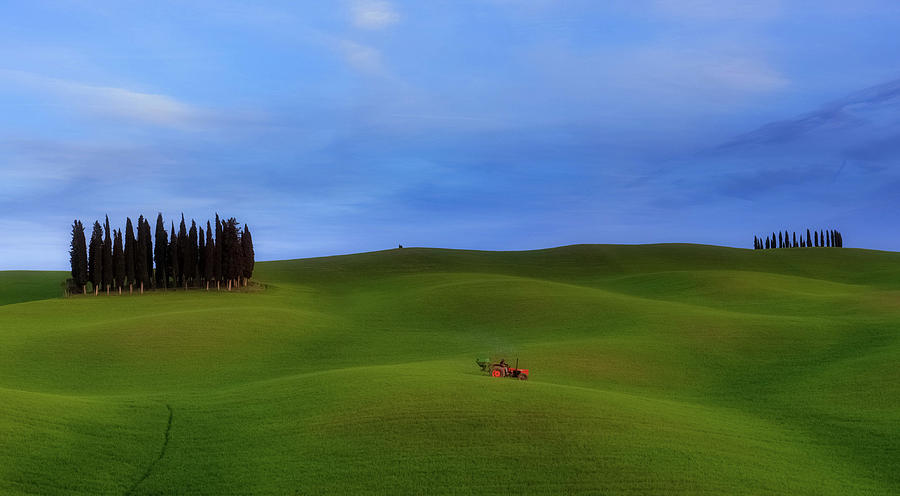 Tuscan Landscaping Photograph by Rob Davies