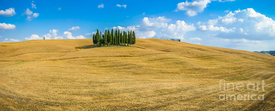 Tuscan Nature Myths Photograph by JR Photography