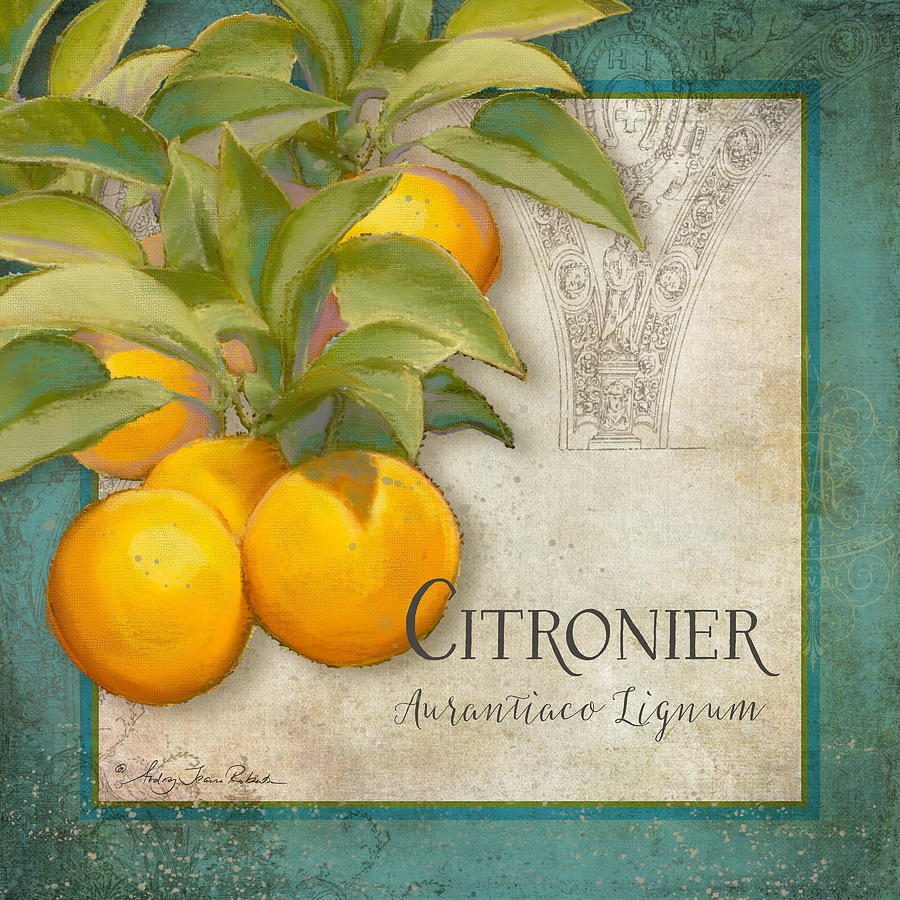 Tuscan Orange Tree - Citronier Aurantiaco Lignum Vintage Painting by Audrey Jeanne Roberts
