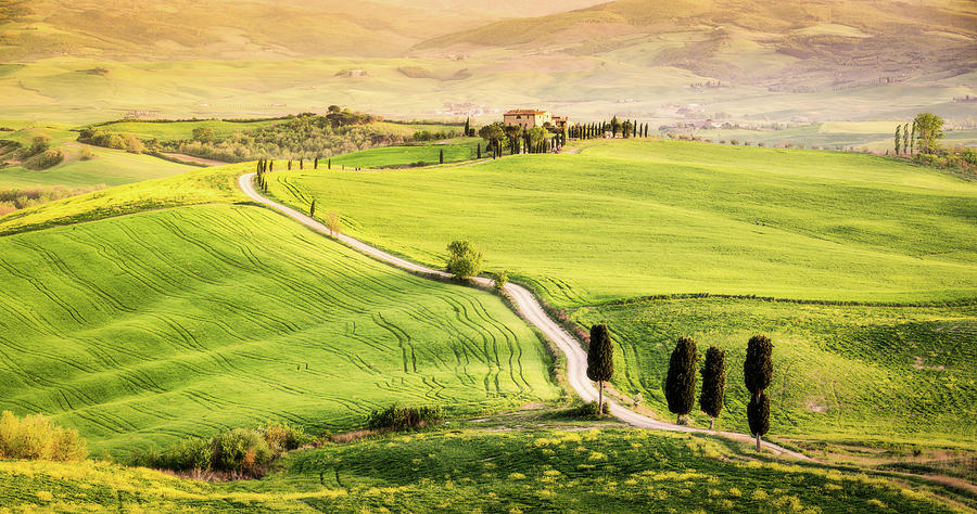Tuscan Path Photograph by Francesco Riccardo Iacomino