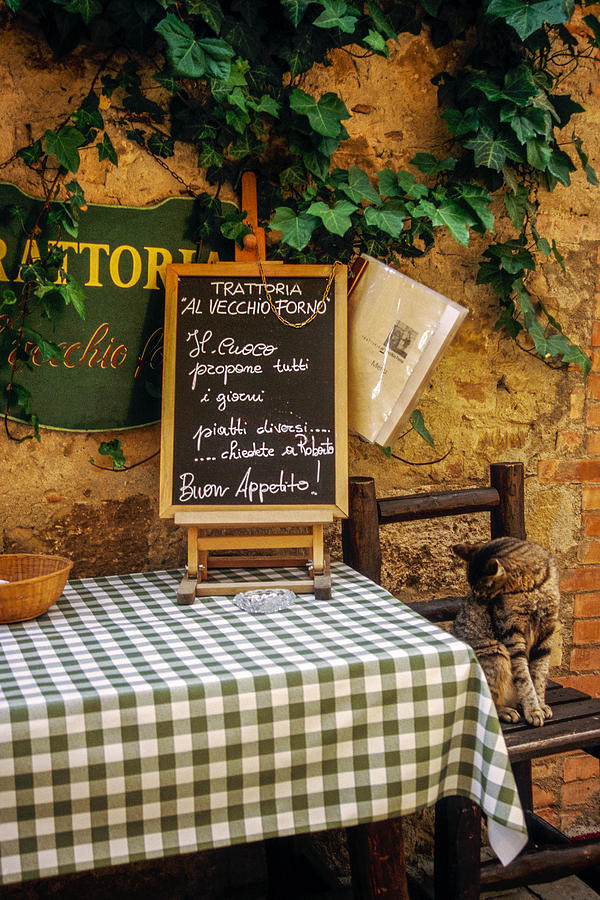 Tuscan Restaurant Patron Photograph by Andrew Soundarajan