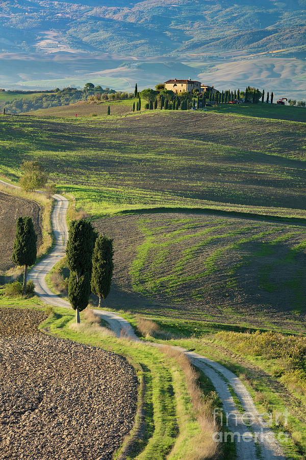 Tuscan Road Photograph by Brian Jannsen
