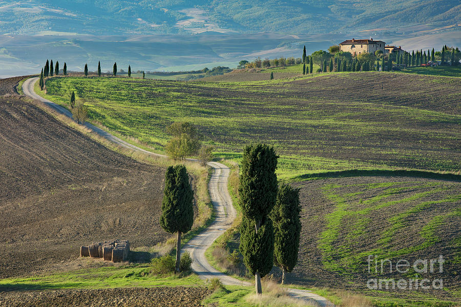 Tuscan Road III Photograph by Brian Jannsen