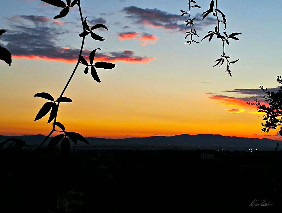 Tuscan Sunset Photograph by Diana Haronis