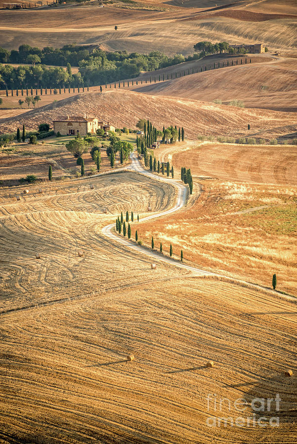 Tuscan view, summer landscape in Tuscany Photograph by Delphimages Photo Creations