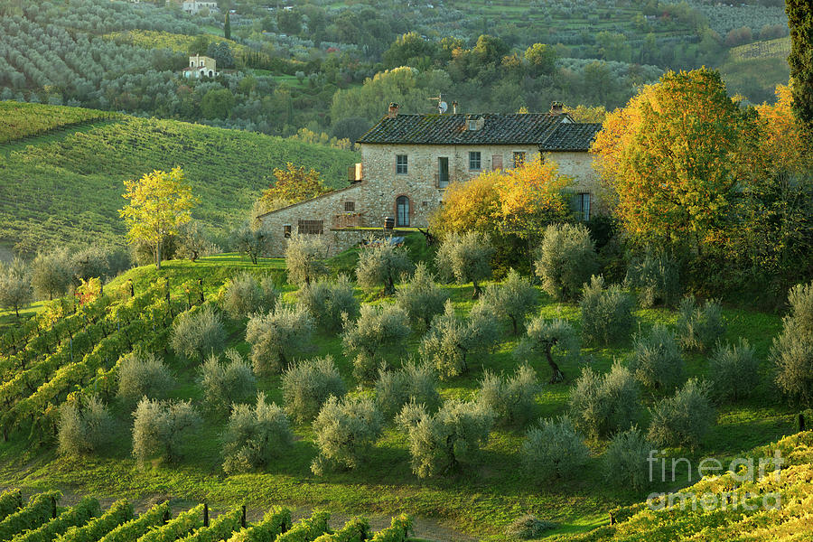 Tuscan Villa Photograph by Brian Jannsen