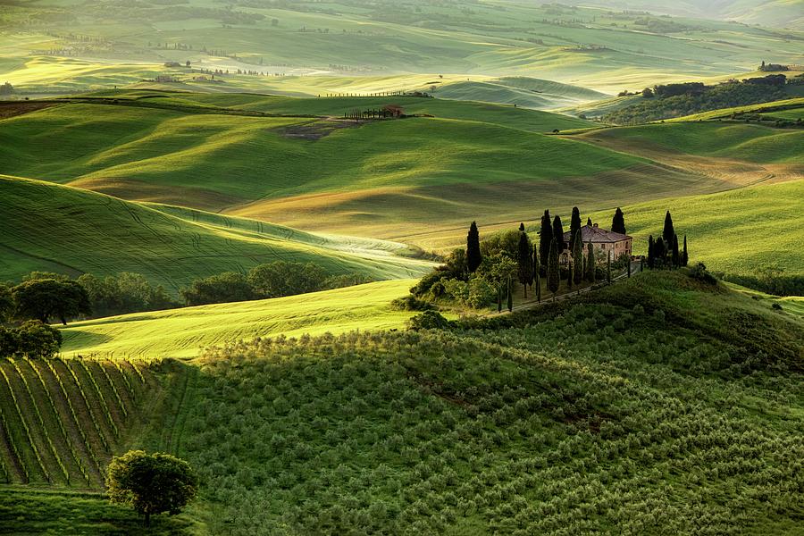 Tuscan Villa II  Photograph by Harriet Feagin