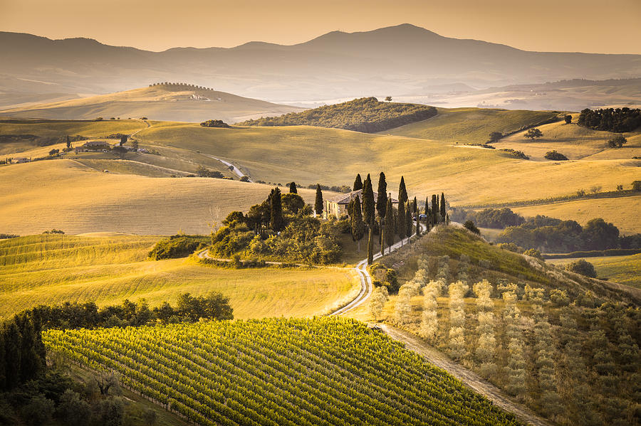 Tuscan Villa Photograph by Stefano Termanini