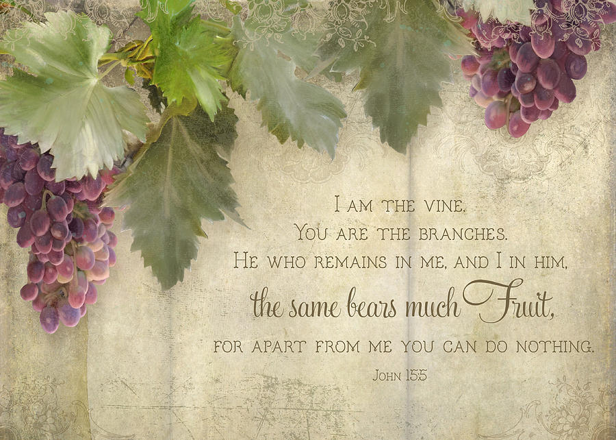 Grape Painting - Tuscan Vineyard - Rustic Wood Fence Scripture by Audrey Jeanne Roberts