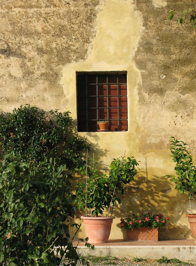 Tuscan window Photograph by Carol Sweetwood