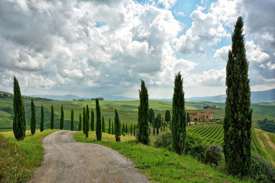 Tuscan Winery 2 Photograph