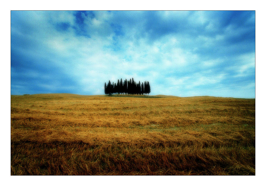 Nature Photograph - Tuscany - Italy by Marco Hietberg - City and Landscape Photography - Art Shop