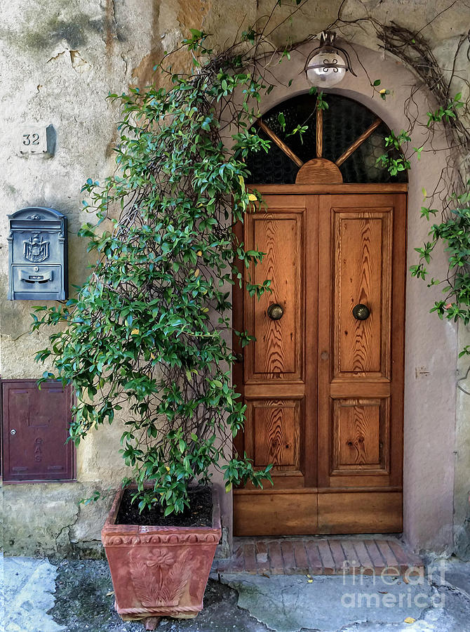 Tuscany Door Digital Art by Laurel D Rund