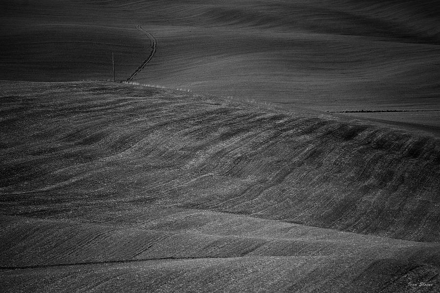Tuscany fields bw Photograph by Ivan Slosar