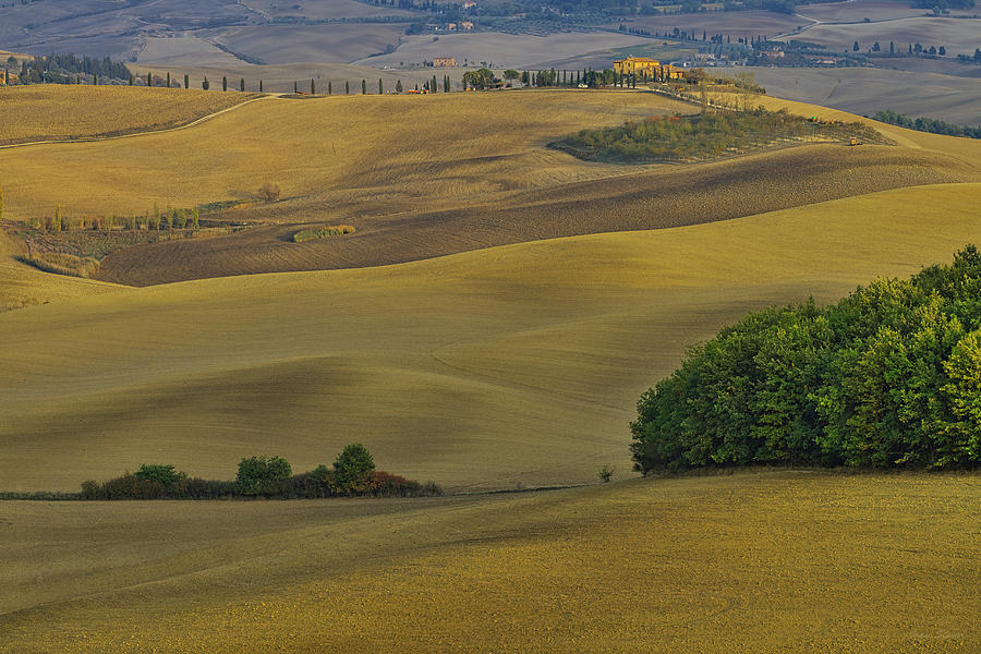 Tuscany fields in autumn Photograph by Ivan Slosar