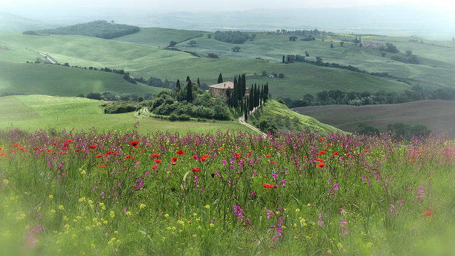 Tuscany in Spring Photograph by Jenni Alexander - Fine Art America