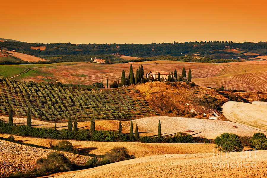 Tuscany landscape at sunset Photograph by Michal Bednarek