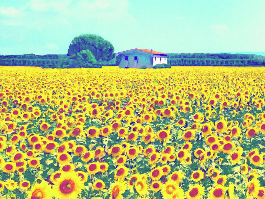 Tuscany Sunflower Farm Painting by Dominic Piperata