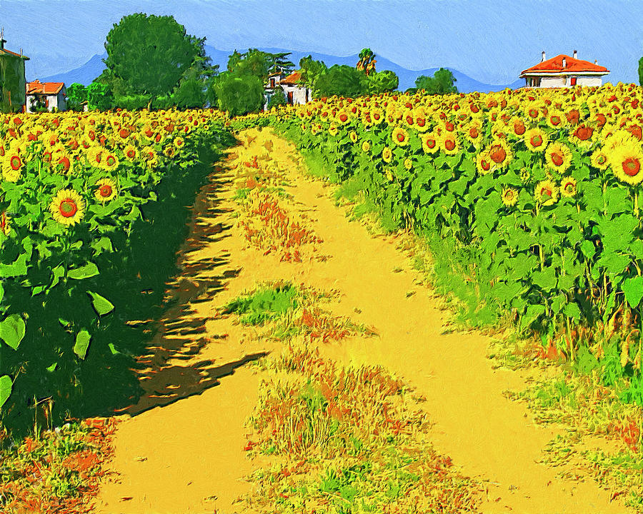 Tuscany Sunflowers Painting by Dominic Piperata