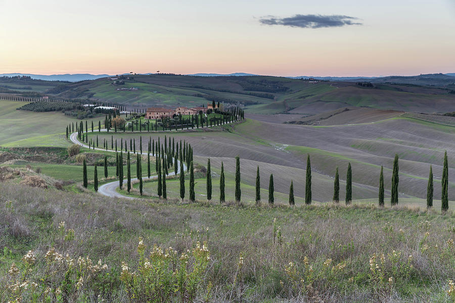 Tuscany sunset Photograph by Massimo Dardano - Fine Art America