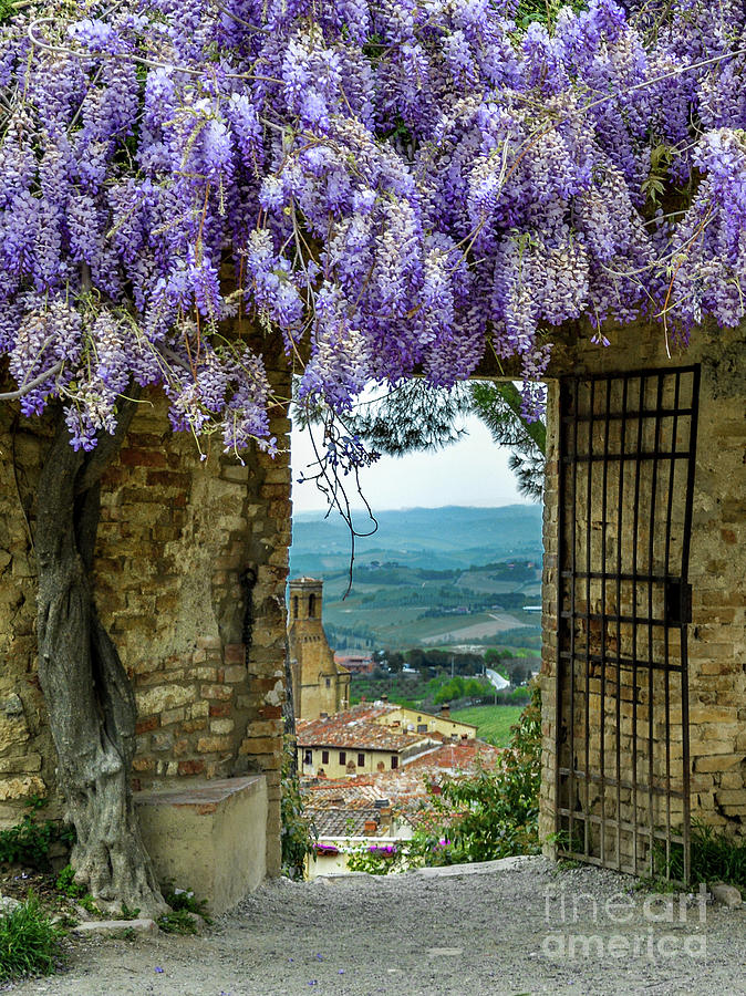 Tuscany view Photograph by David Meznarich