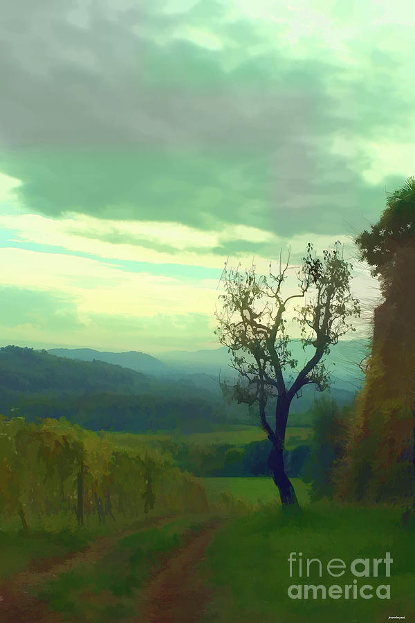 Landscape Photograph - Tuscany vineyard  by Tom Prendergast