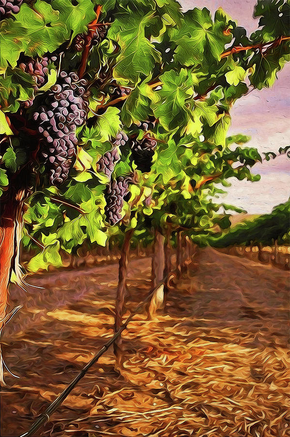 Tuscany vineyards - 03 Painting by AM FineArtPrints