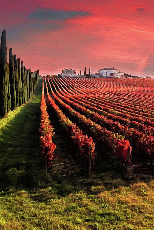 Tuscany, wineyards in autumn Painting by AM FineArtPrints