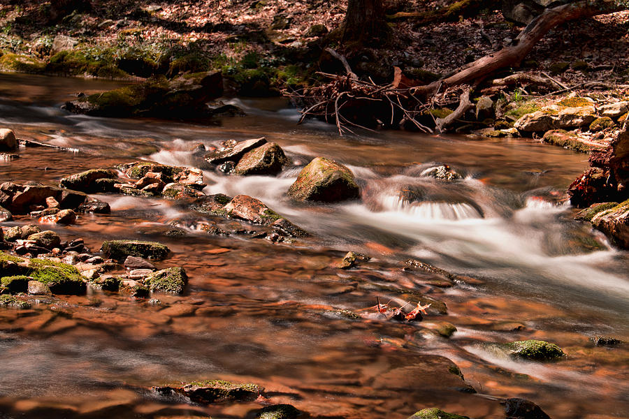 Tuscarora Mountain Stream Photograph by Kristia Adams