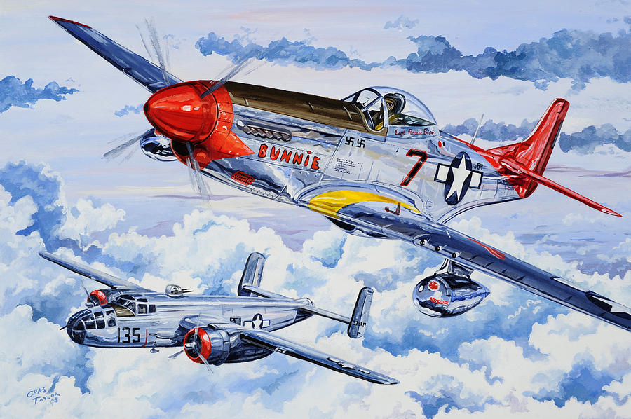 P-51 Mustang Painting - Tuskegee Airman by Charles Taylor