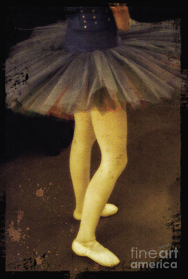 Tutu and Ballerina Shoes Photograph by Craig J Satterlee