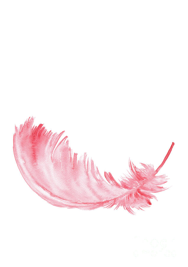 baby feather tutu