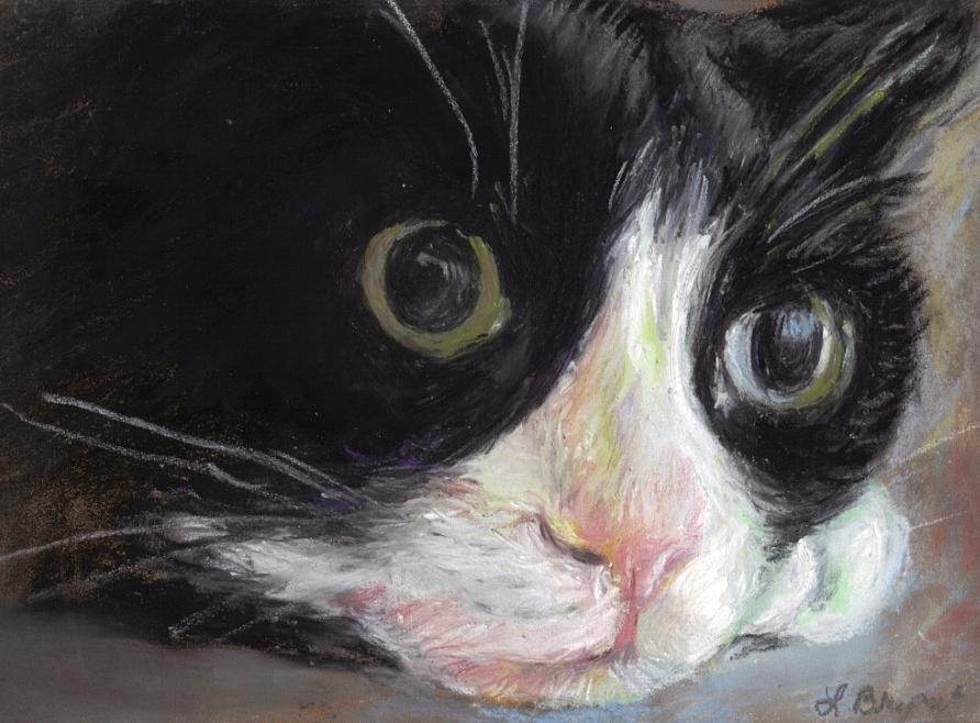 Cat Pastel - Tuxedo Cat by Linda Bryant