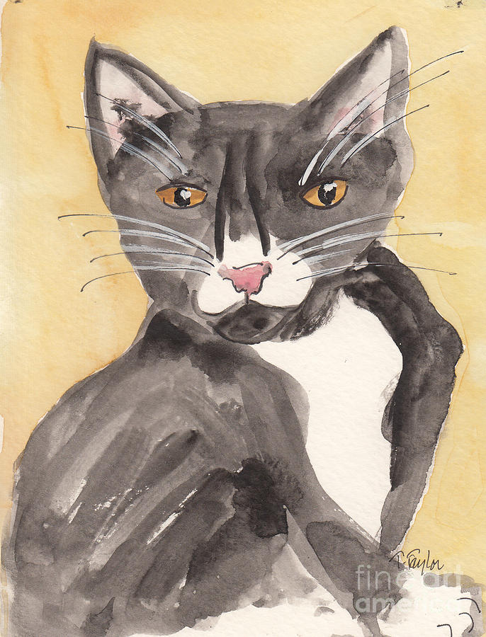 Tuxedo Cat with Attitude Painting by Terry Taylor