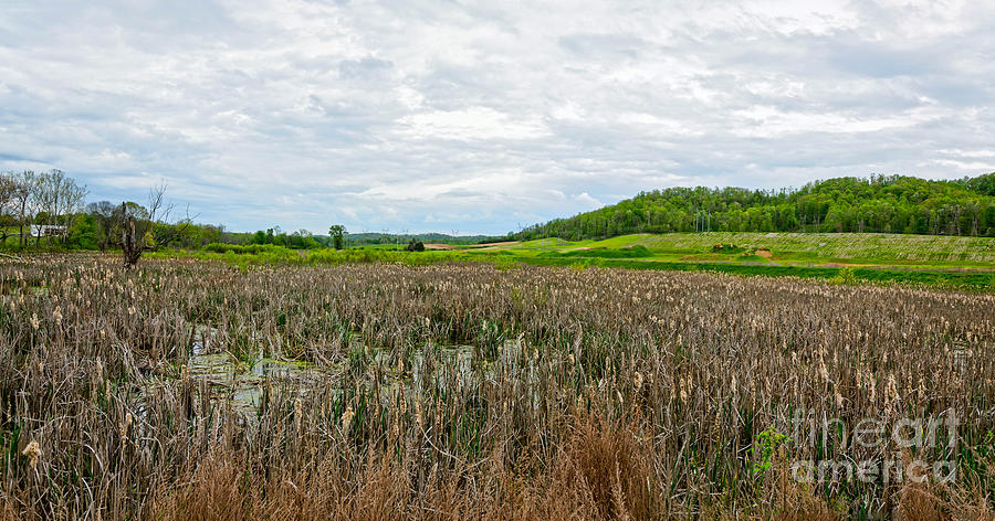 TVA Wetlands Photograph by Paul Mashburn