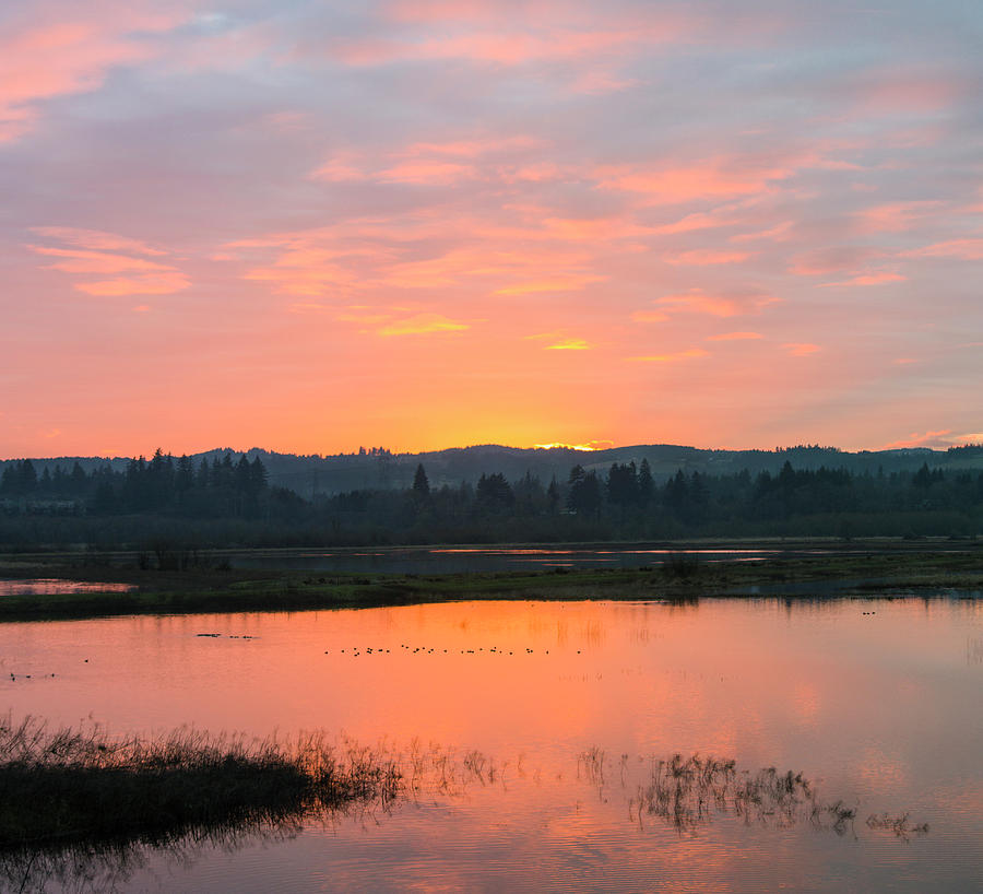 Wetland Sunset Photograph by Steven Clark