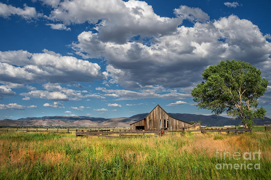 Mountain Photograph - Twaddle-Pedroli Ranch by Dianne Phelps