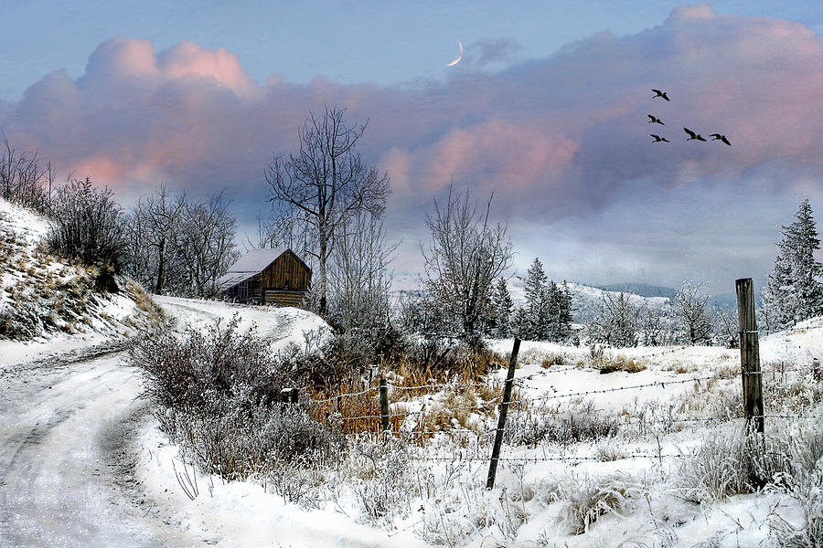 Twains Barn Photograph by Ed Hall