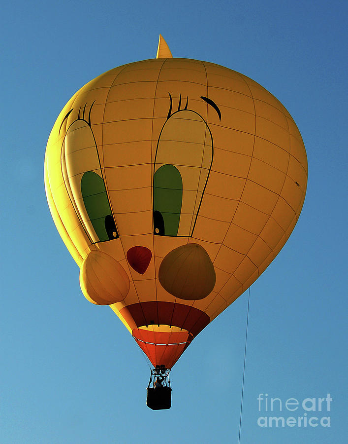 Tweedy Bird Hot Air Balloon Photograph by Diane E Berry