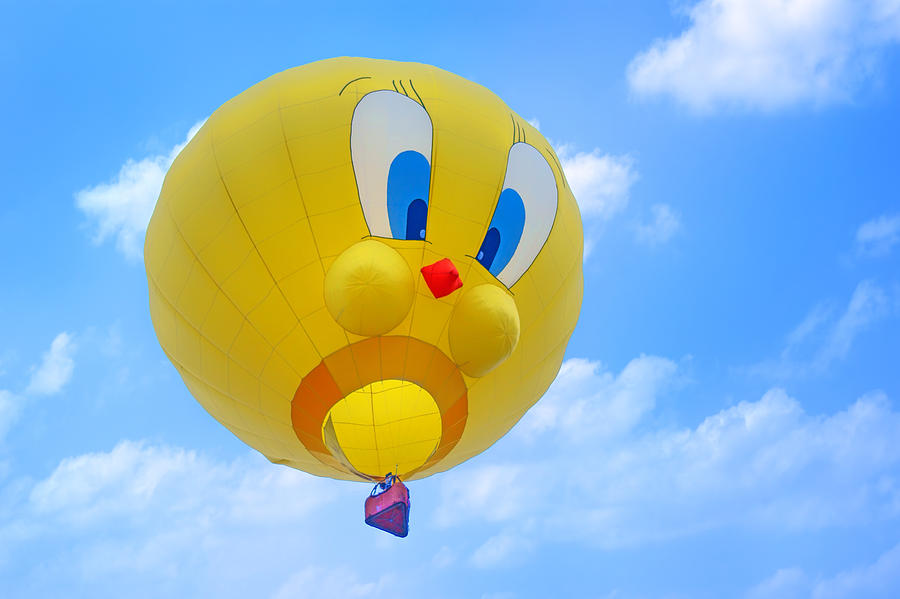 Tweety Bird - Hot Air Balloon Photograph by Nikolyn McDonald
