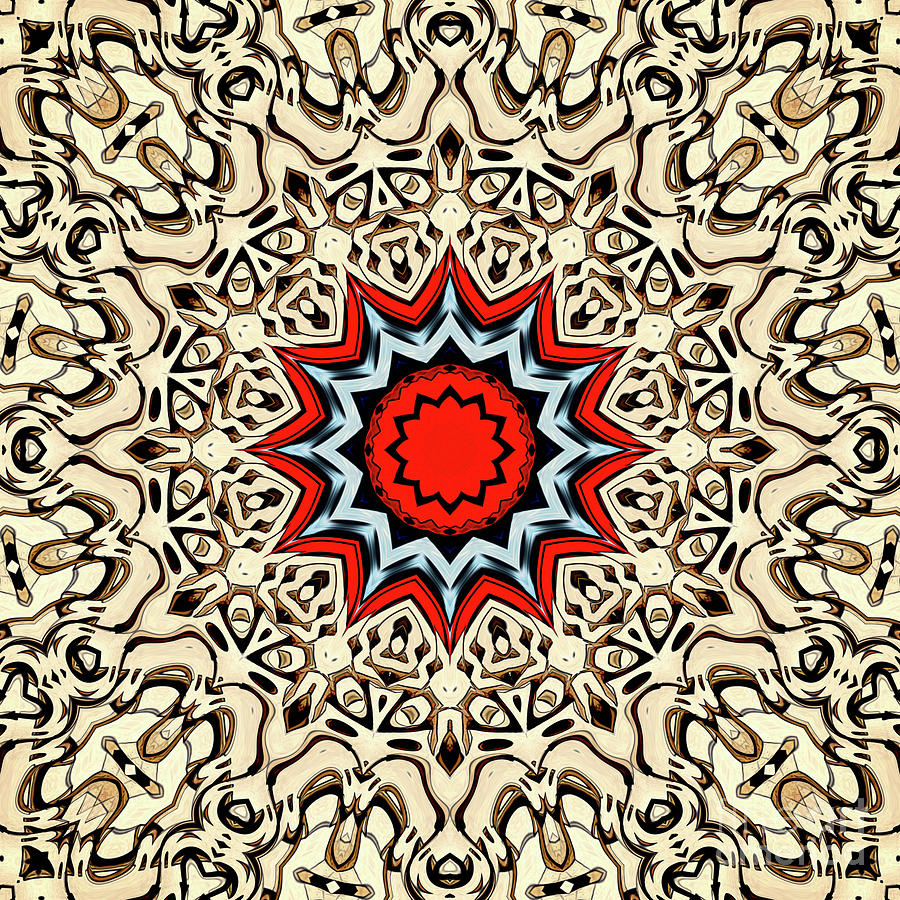 Twelve Points Mandala Digital Art by Phil Perkins