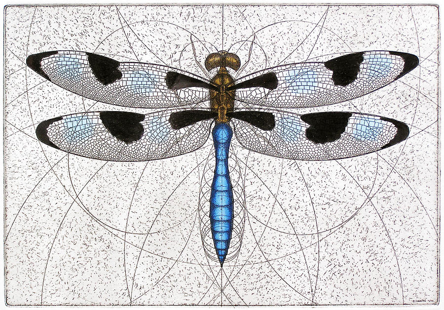 Twelve Spotted Skimmer Painting by Charles Harden