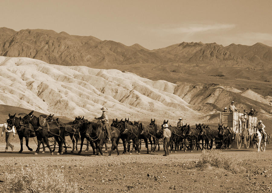 Death Valley National Park Photograph - Twenty Mule Team by Ivete Basso Photography