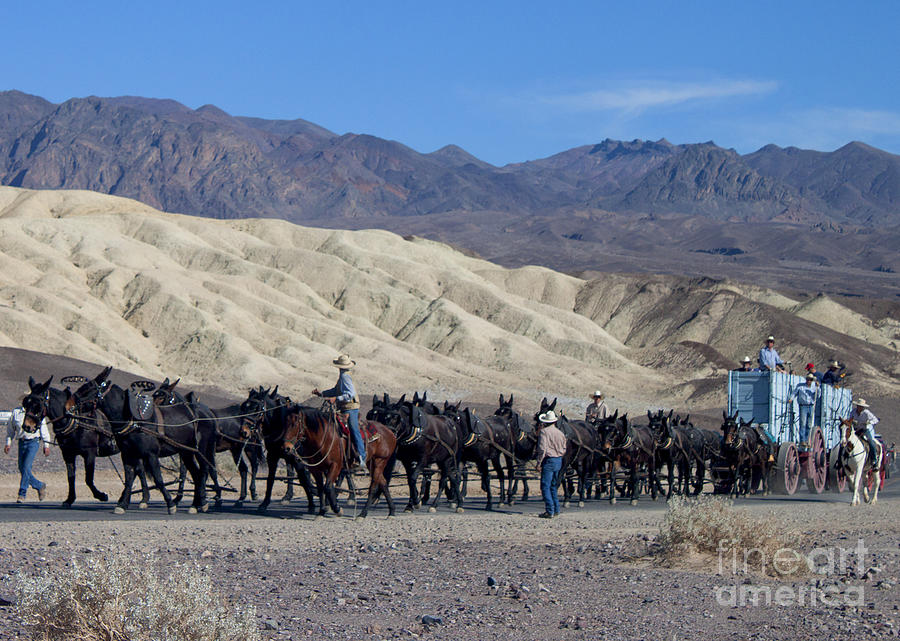 Twenty Mule Teams Photograph by Ivete Basso Photography